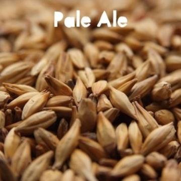 MALTE BESTMALZ PALE ALE 100G