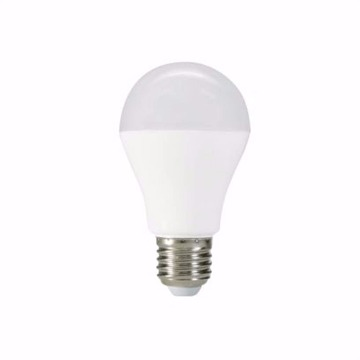 Lampada LED BULBO 12W