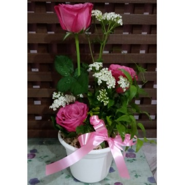 Arranjo com 3 botões de rosas no vaso de alumínio