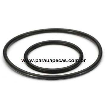 Oring Bomba Dágua VW 7-100/23-210 MWM 4.10/6.10 JOGO TAE121045