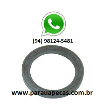 Retentor Cubo Redução VOLVO N/NL10/12 DIFERENCIAL V87 2000000504588
