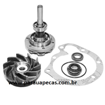 Reparo Bomba Dágua MB 709/1114 OM364/364A UR709RL URBA
