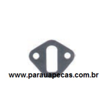 Junta Bomba Combustivel VW 7-100/23-210 MWM Série 10 70444AN SPAAL