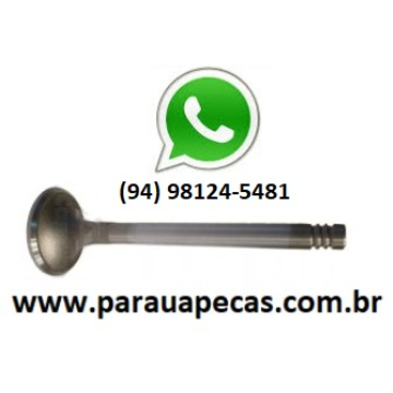 VALVULA MOTOR VW 7-100/23-210 MWM 4.10/6.10 ESCAPE 7892415479754 METAL LEVE