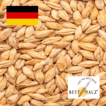 MALTE BESTMALZ PILSEN - SACA 25 KG