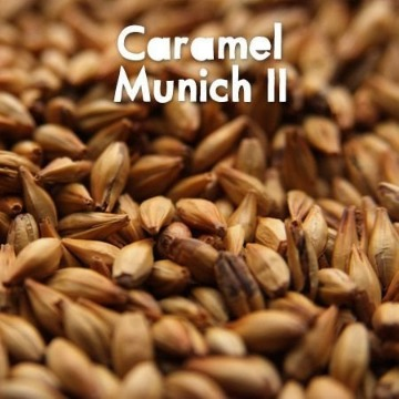 MALTE BESTMALZ CARAMEL MUNICH II - 100G