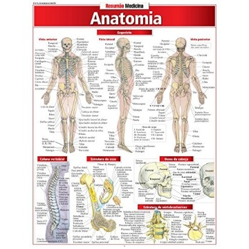 Anatomia - Coleção Resumão Medicina