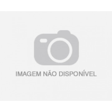A fenomenologia do ser humano