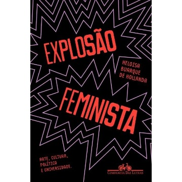 Explosão Feminista - Arte, Cultura, Política E Universidade