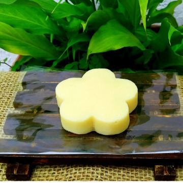 Condicionador Sólido Natural Vegetal Aurantium