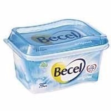 CREME VEGETAL BECEL C/SAL 500G