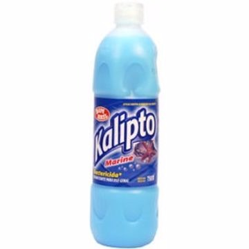 DESINFETANTE KALIPTO MARINE 750ML