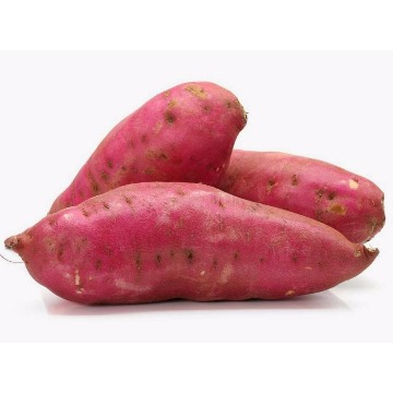 Batata Doce Kg