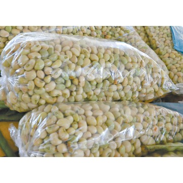 Feijão Verde Kg