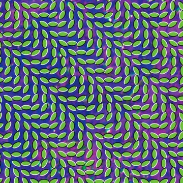 ANIMAL COLLECTIVE - MERRIWEATHER POST PAVILION