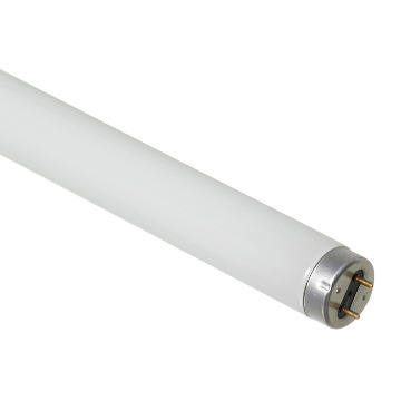 LÂMPADA FLUORECENTE 20W OSRAM